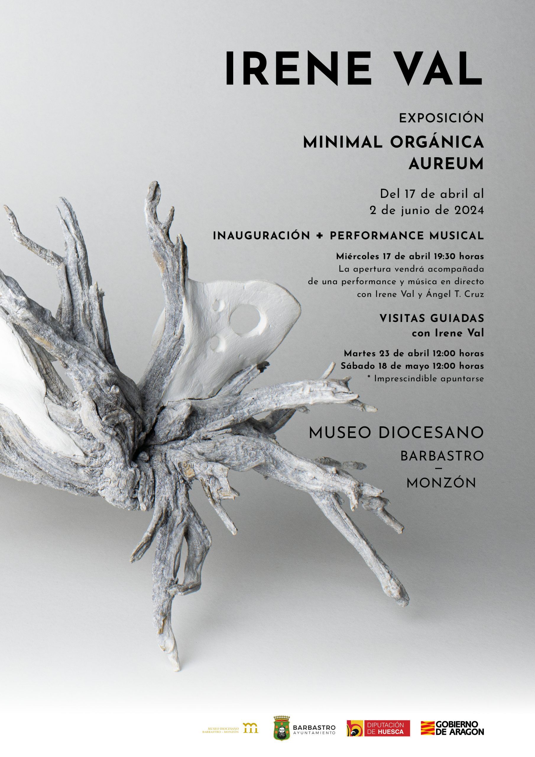 CARTEL_RBG_Museo-Diocesano_Barbastro_performance-musical-visitas-guiadas-1